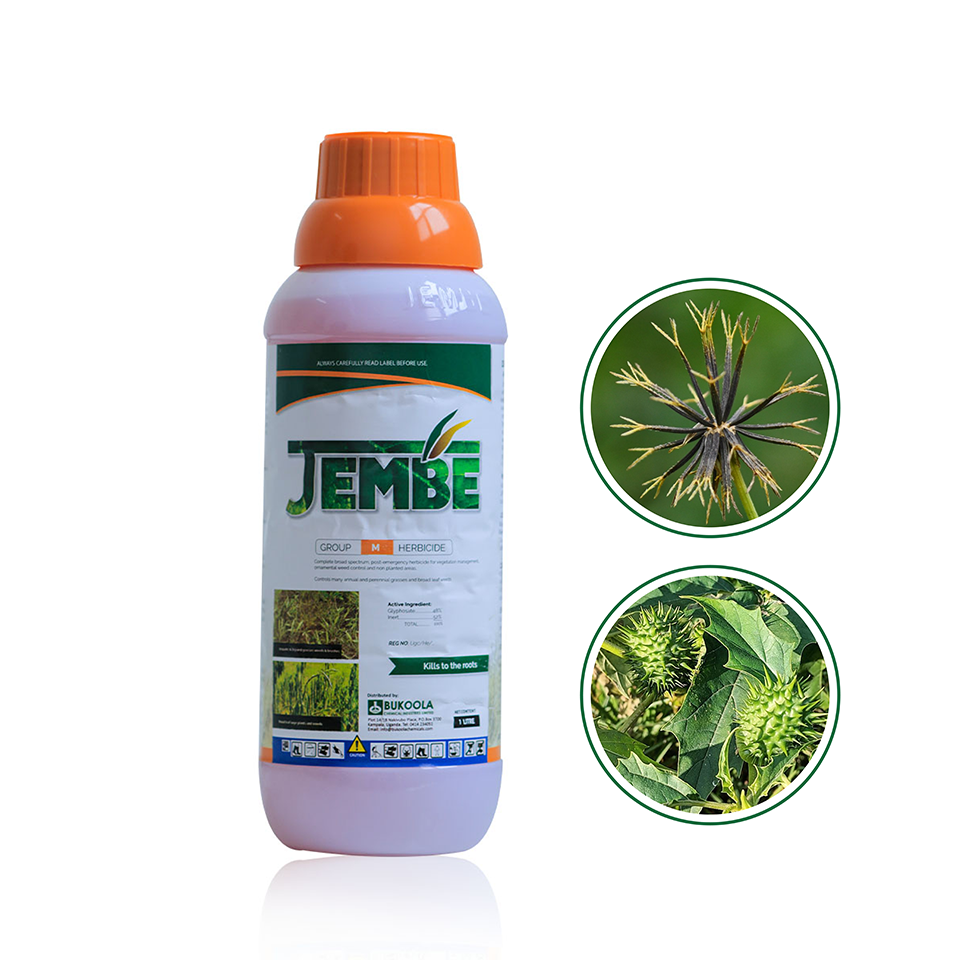 Jembe 500ml
